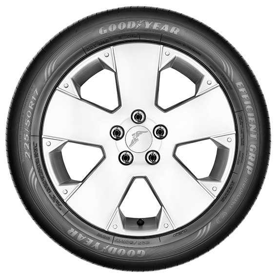 Goodyear EfficientGrip Performance